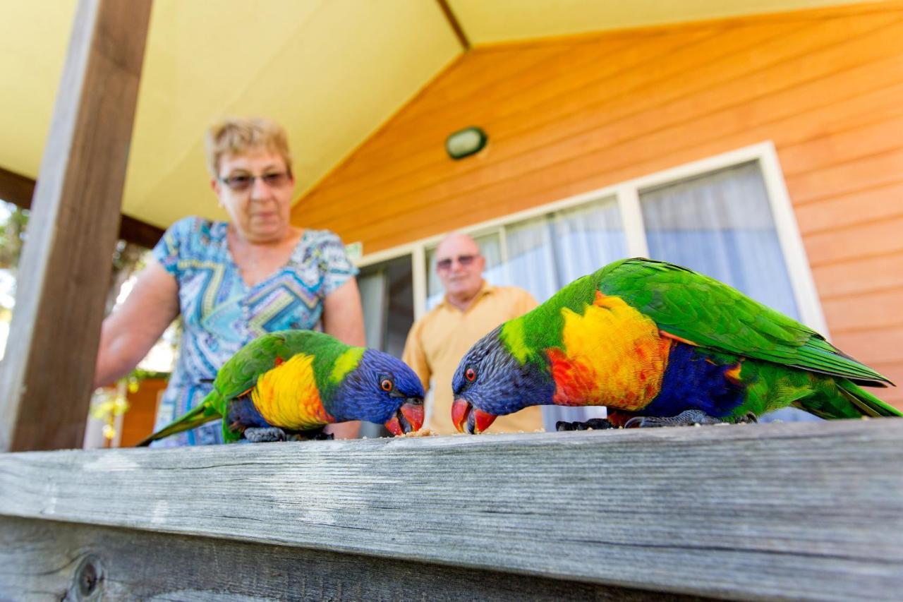 Big4 Batemans Bay At Easts Riverside Holiday Park Quarto foto